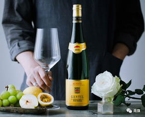 關于法國葡萄酒,你知道10大產區在哪嗎