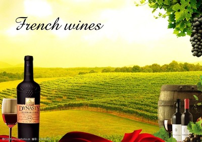 法國葡萄酒圖片